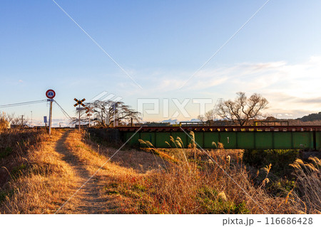 静岡県掛川市本郷　天竜浜名湖鉄道と沿線の風景 116686428