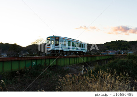 静岡県掛川市本郷　天竜浜名湖鉄道と沿線の風景 116686489