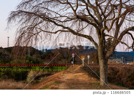 静岡県掛川市本郷 天竜浜名湖鉄道と沿線の風景 静岡県掛川市本郷 天竜浜名湖鉄道と沿線の風景 116686505