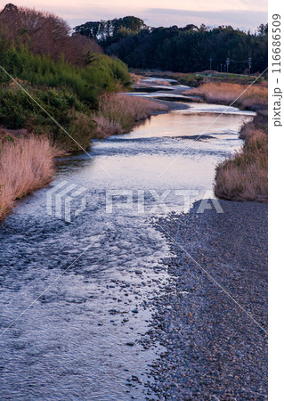 静岡県掛川市本郷 天竜浜名湖鉄道と沿線の風景 静岡県掛川市本郷 天竜浜名湖鉄道と沿線の風景 116686509
