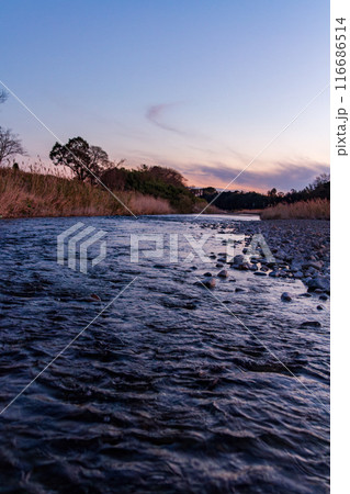 静岡県掛川市本郷　天竜浜名湖鉄道と沿線の風景 116686514