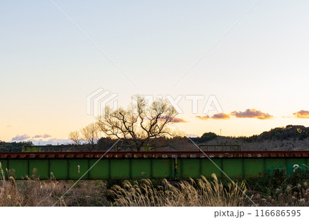 静岡県掛川市本郷　天竜浜名湖鉄道と沿線の風景 116686595