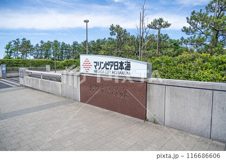 [新潟観光]新潟市水族館 マリンピア日本海[新潟旅行] 116686606