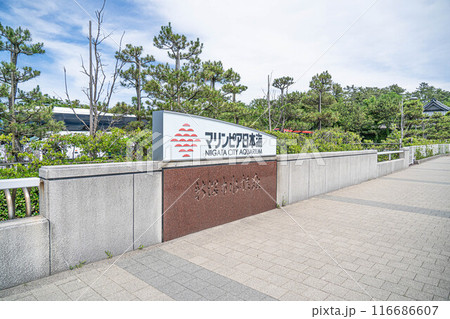 [新潟観光]新潟市水族館 マリンピア日本海[新潟旅行] 116686607