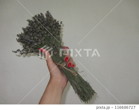 beautiful bouquet of wild flowers beautiful bouquet of wild flowers 116686727