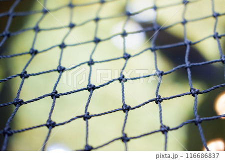 metal mesh grid in a cage metal mesh grid in a cage 116686837