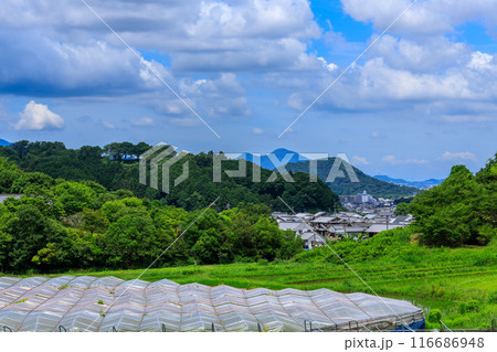 万葉文化館前交差点から大字小原の棚田と二上山、畝傍山、甘樫丘 2024年7月17日 万葉文化館前交差点から大字小原の棚田と二上山、畝傍山、甘樫丘 2024年7月17日 116686948