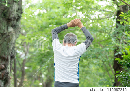 ストレッチするシニア男性 新緑 後ろ姿 ストレッチするシニア男性 新緑 後ろ姿 116687213