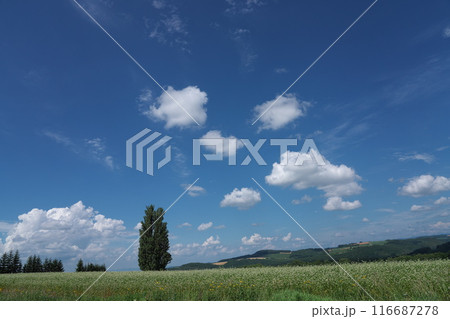 ケンとメリーの丘 ケンとメリーの丘 116687278