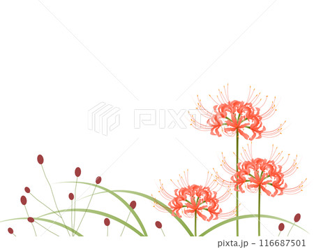 彼岸花・吾亦紅・草 116687501