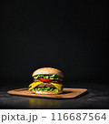 美味しそうなハンバーガー　余白多め 116687564