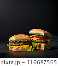 美味しそうなハンバーガー　四角 116687565