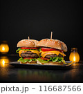 おしゃれなハンバーガー 116687566