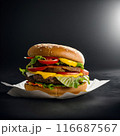 美味しそうなハンバーガー 116687567