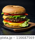 美味しそうなハンバーガー 116687569