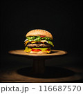 美味しそうなハンバーガー 116687570