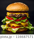大きなハンバーガー 116687571
