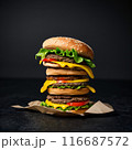 美味しそうなハンバーガー　デカ盛り 116687572