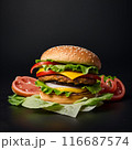 美味しそうなハンバーガー　トマト　レタス添え 116687574
