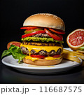 美味しそうなハンバーガー 116687575