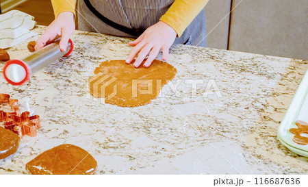 Using an adjustable rolling pin to roll out gingerbread cookie dough on the elegant marble counter in a modern kitchen, getting ready for festive holiday baking. Using an adjustable rolling pin to roll out gingerbread cookie dough on the elegant marble counter in a modern kitchen, getting ready for festive holiday baking. 116687636