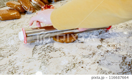 Using an adjustable rolling pin to roll out gingerbread cookie dough on the elegant marble counter in a modern kitchen, getting ready for festive holiday baking. Using an adjustable rolling pin to roll out gingerbread cookie dough on the elegant marble counter in a modern kitchen, getting ready for festive holiday baking. 116687664