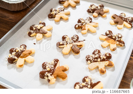 Creating cutout sugar cookies, partially dipped in chocolate and topped with hazelnut pieces, placed on parchment paper. 116687665