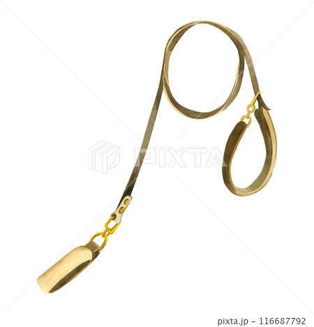 Leash for dogs. Brown dog leash with gold accents. Watercolor illustration. All objects are hand-painted with watercolors. Suitable for printing on fabric and paper, for scrapbooking and design. 116687792