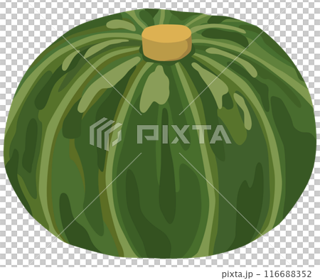 簡單的南瓜插畫向量素材 116688352