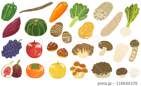 秋の食べ物のイラストセット　ベクター素材 116688376