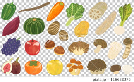 秋の食べ物のイラストセット　ベクター素材 116688376