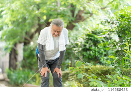 ジョギングするシニア男性　息切れ 116688428