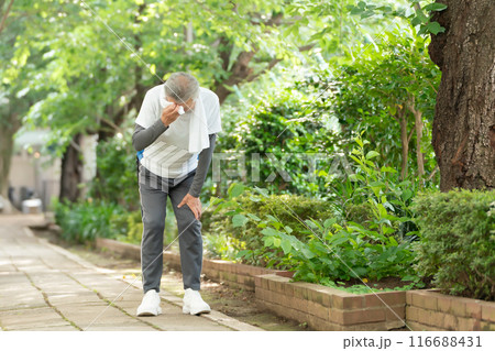 ジョギングするシニア男性 息切れ ジョギングするシニア男性 息切れ 116688431