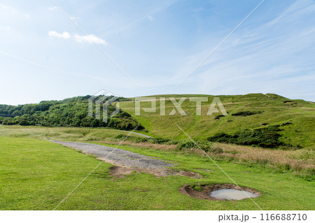 まぶしい日差しが注ぐ青空の下の広々としたフィールドと穴が開いてできた水たまり 南ウェールズの郊外にて まぶしい日差しが注ぐ青空の下の広々としたフィールドと穴が開いてできた水たまり 南ウェールズの郊外にて 116688710
