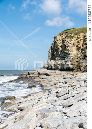 海岸線にできた地層がむき出しの切り立った崖と岩場の海岸　南ウェールズの郊外にて 116688723