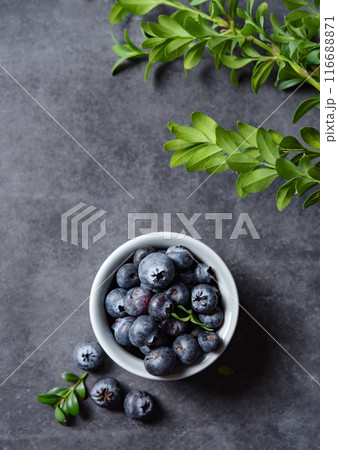 sweet fresh blueberries in a bowl with green brunch on a dark gray background. Dark concept photo. sweet fresh blueberries in a bowl with green brunch on a dark gray background. Dark concept photo. 116688871