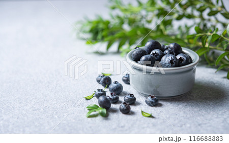 sweet fresh blueberries in a bowl with a green branch on a blue concrete background. Front view sweet fresh blueberries in a bowl with a green branch on a blue concrete background. Front view 116688883
