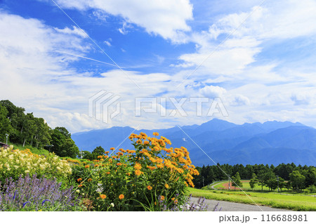 花満開の富士見高原リゾート　ロマンスエリア 116688981