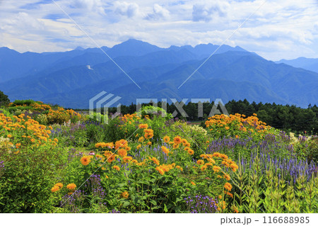 花満開の富士見高原リゾート ロマンスエリア 花満開の富士見高原リゾート ロマンスエリア 116688985