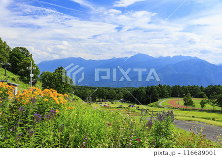 花満開の富士見高原リゾート ロマンスエリア 花満開の富士見高原リゾート ロマンスエリア 116689001