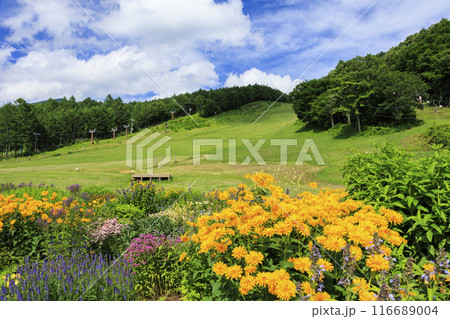 花満開の富士見高原リゾート ロマンスエリア 花満開の富士見高原リゾート ロマンスエリア 116689004