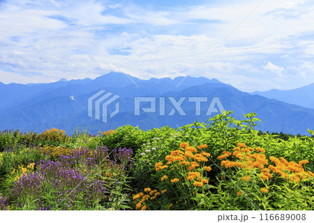 花満開の富士見高原リゾート　ロマンスエリア 116689008