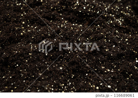 Close-up of soil mixed with white agroperlite. Agroperlite is a rock of volcanic origin with many beneficial properties for plants. Selective focus Close-up of soil mixed with white agroperlite. Agroperlite is a rock of volcanic origin with many beneficial properties for plants. Selective focus 116689061