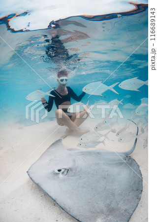 Woman swimming with sting rays in Maldives. Sting ray with fish and woman underwater in blue ocean Woman swimming with sting rays in Maldives. Sting ray with fish and woman underwater in blue ocean 116689143