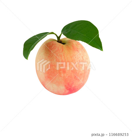Peach fruit with green leaf on white background. 116689253