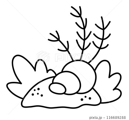 Vector black and white marine composition with rock, seaweeds, seashell, sea plants, sand. Mermaid land concept. Ocean or sea life line nature decoration, coloring page 116689288