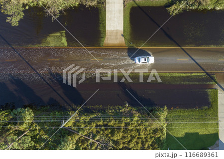 Flooded american street with moving vehicles and surrounded with water houses in Florida residential area. Consequences of hurricane natural disaster Flooded american street with moving vehicles and surrounded with water houses in Florida residential area. Consequences of hurricane natural disaster 116689361
