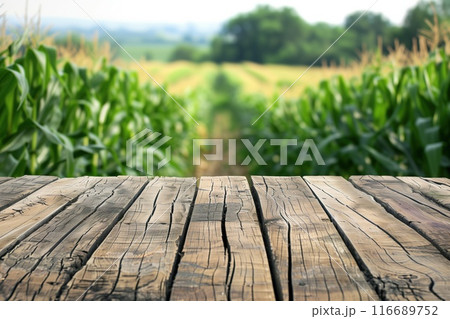 Wooden board table with a blurred cornfield background. Copy space. Suitable for promoting agricultural fairs, organic products, or outdoor workshops. 116689752