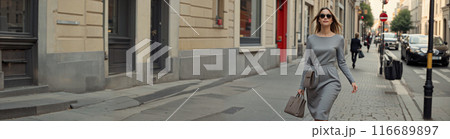 Beautiful confident blonde woman or girl, maybe a business woman, walking down the street of a big old city wearing sunglasses in a gray dress and with a leather handbag. Copy space Beautiful confident blonde woman or girl, maybe a business woman, walking down the street of a big old city wearing sunglasses in a gray dress and with a leather handbag. Copy space 116689897