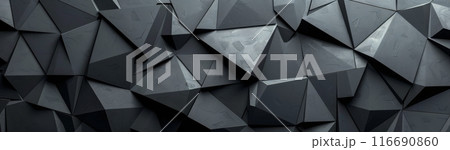 Abstract Black Geometric Wall Pattern 116690860